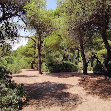 Villa Sunny Day Marathón Dış mekan fotoğraf