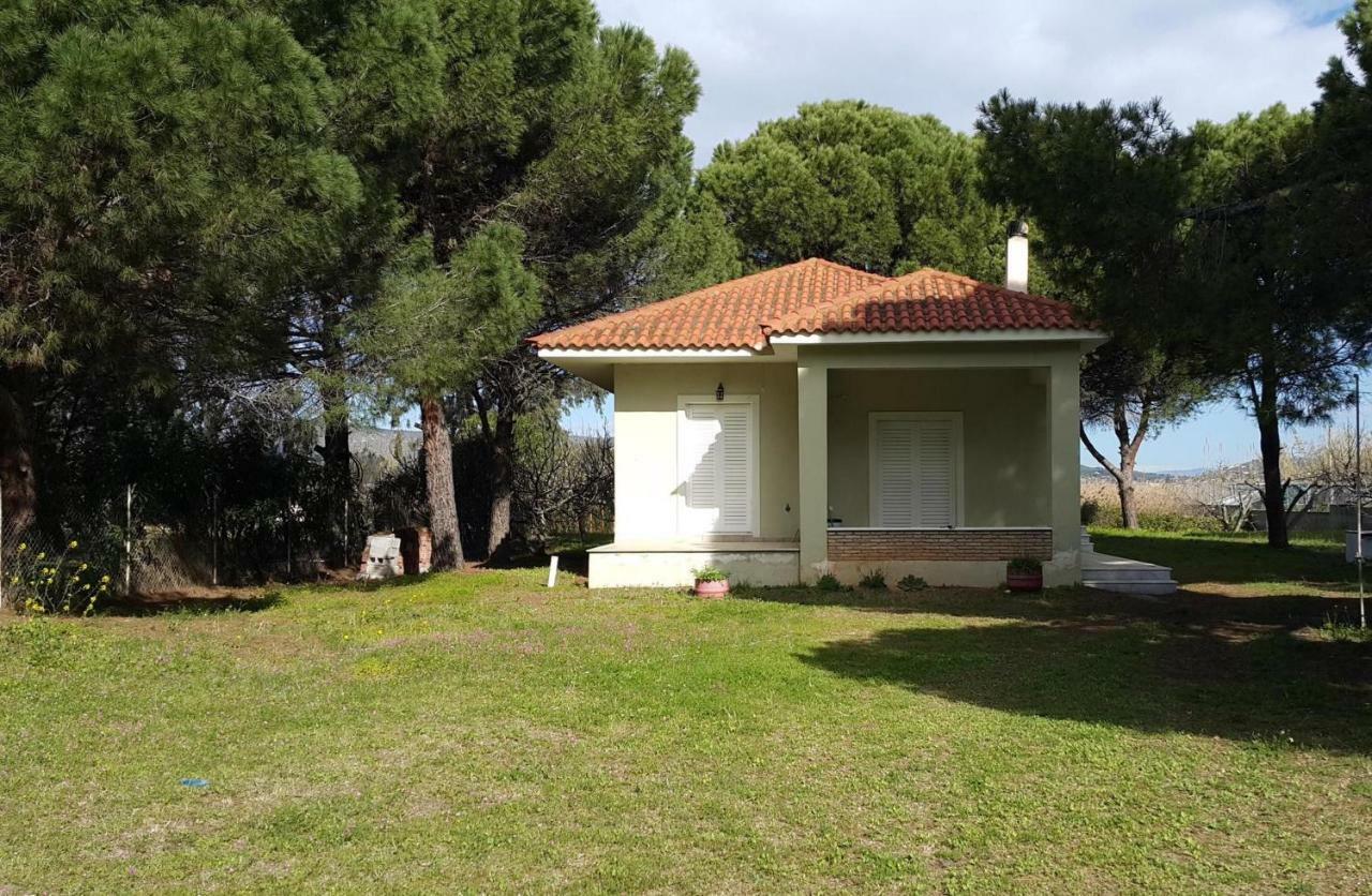 Villa Sunny Day Marathón Dış mekan fotoğraf