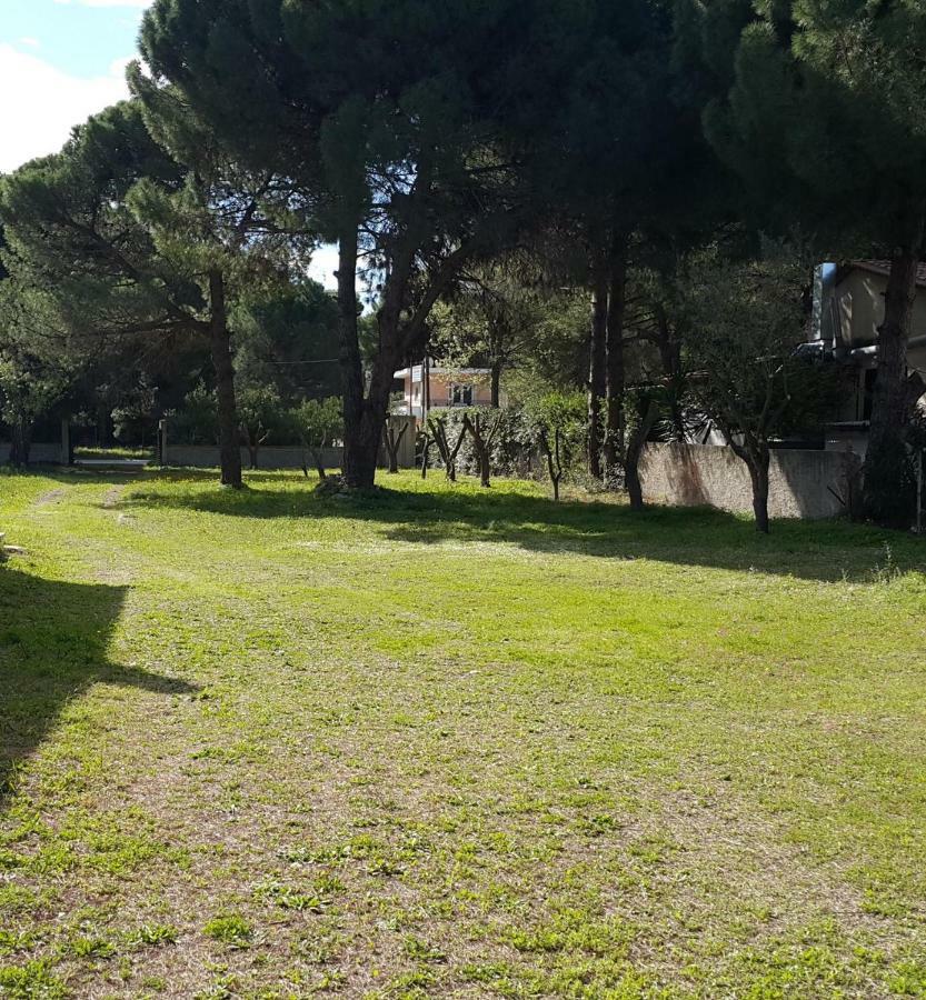Villa Sunny Day Marathón Dış mekan fotoğraf