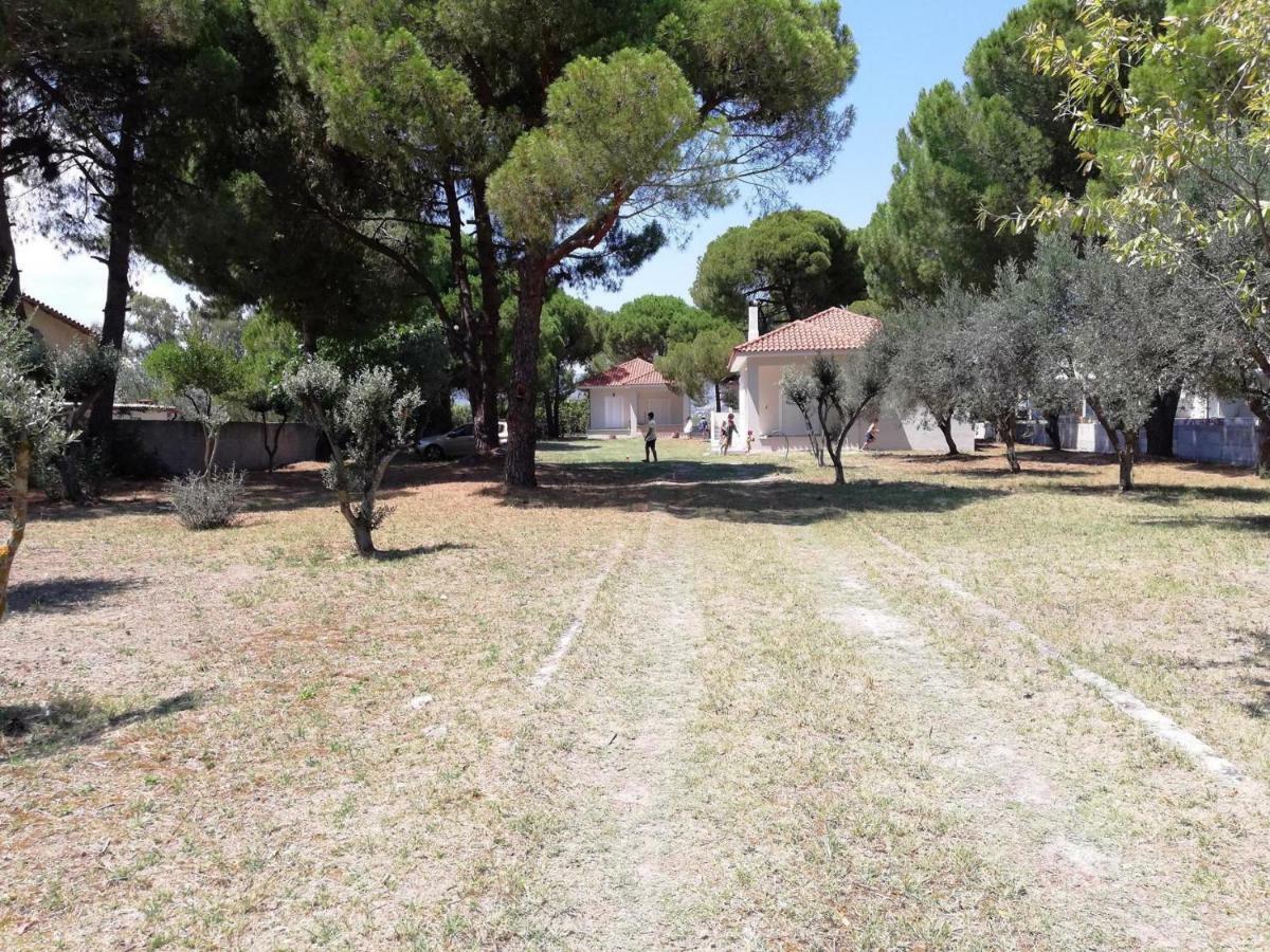 Villa Sunny Day Marathón Dış mekan fotoğraf