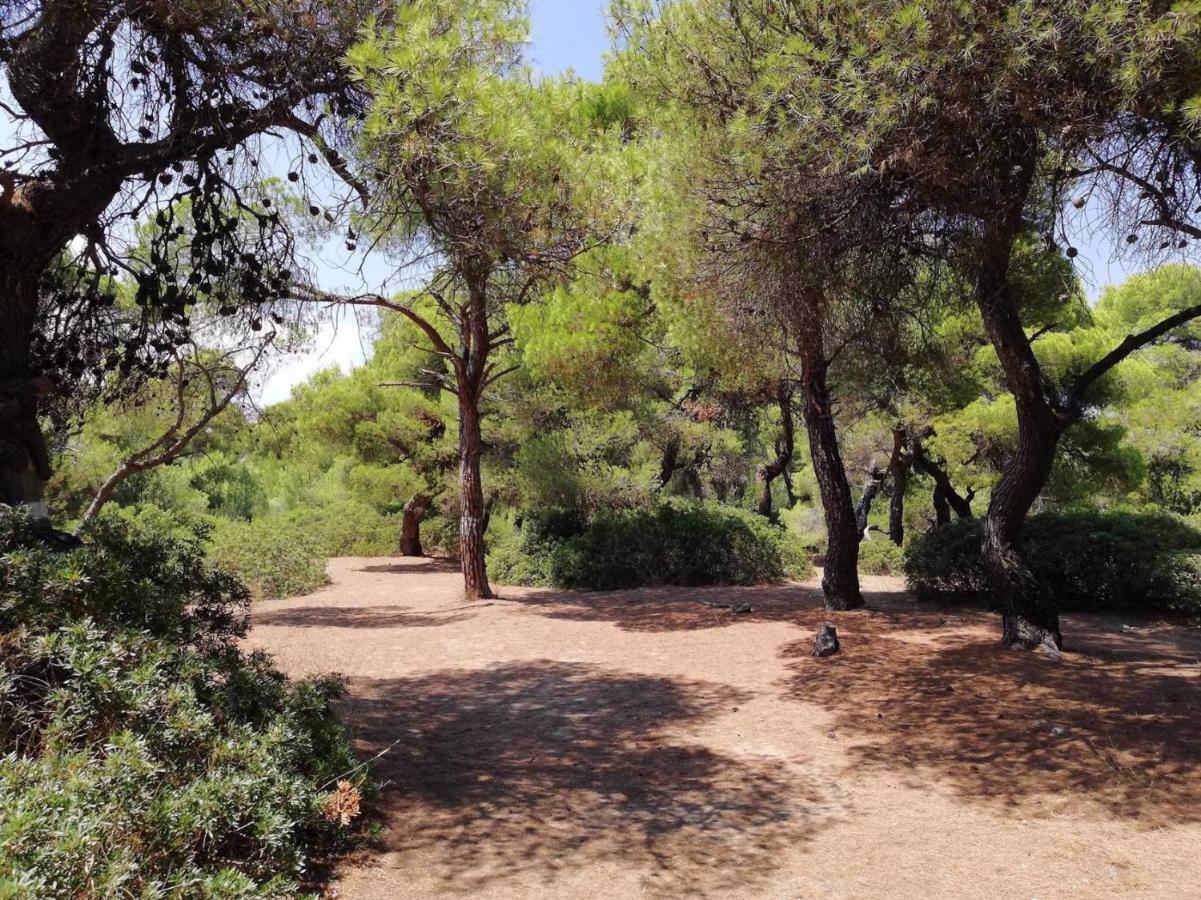 Villa Sunny Day Marathón Dış mekan fotoğraf